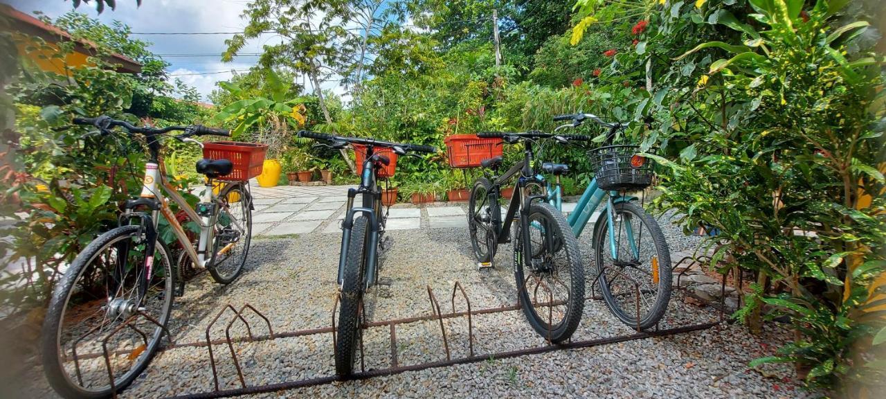 Chez Mera Self Catering La Digue Eksteriør bilde